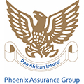 Phoenix Insurance Group